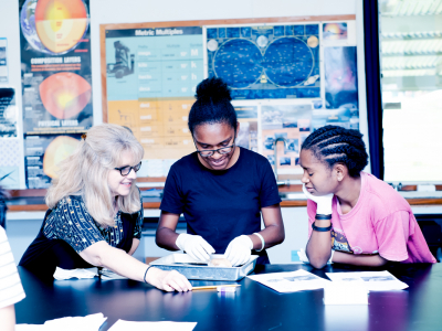 Music Performance Teacher (Grades 5-12) photo